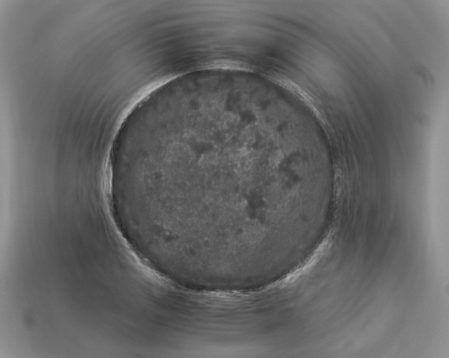 X0000112901125200909111519