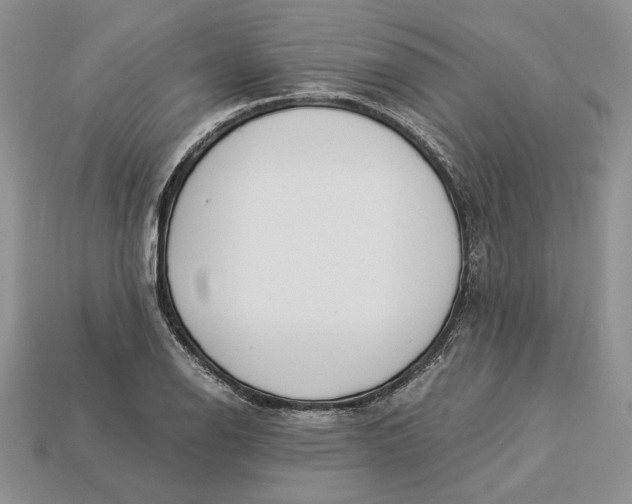 X0000112901126200909111519