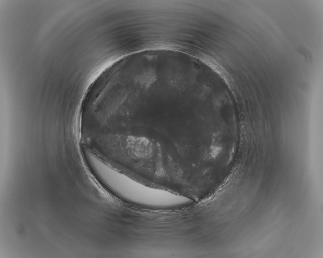 X0000112901127200909111519