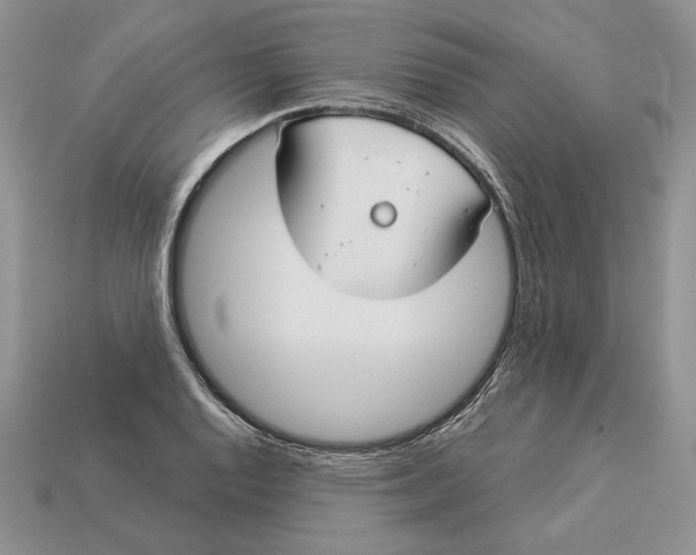 X0000112901128200909111519
