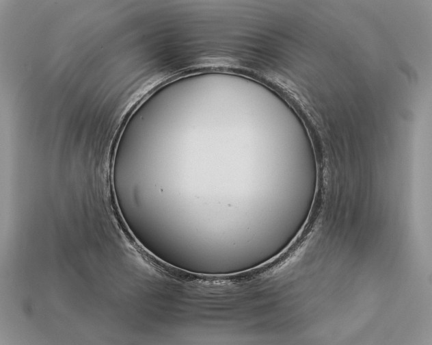 X0000112901129200909111519