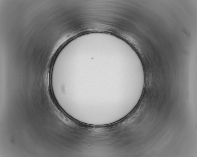 X0000112901130200909111519