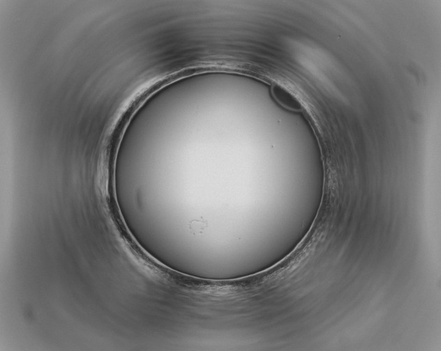 X0000112901131200909111519