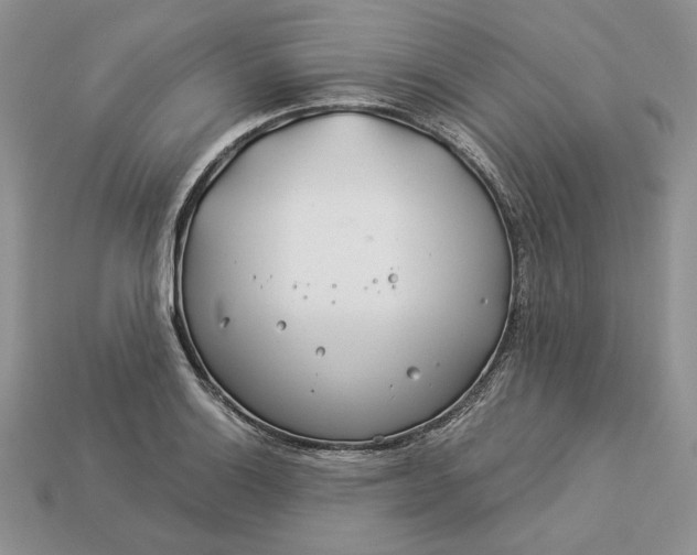 X0000112901132200909111519