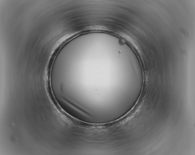 X0000112901133200909111519