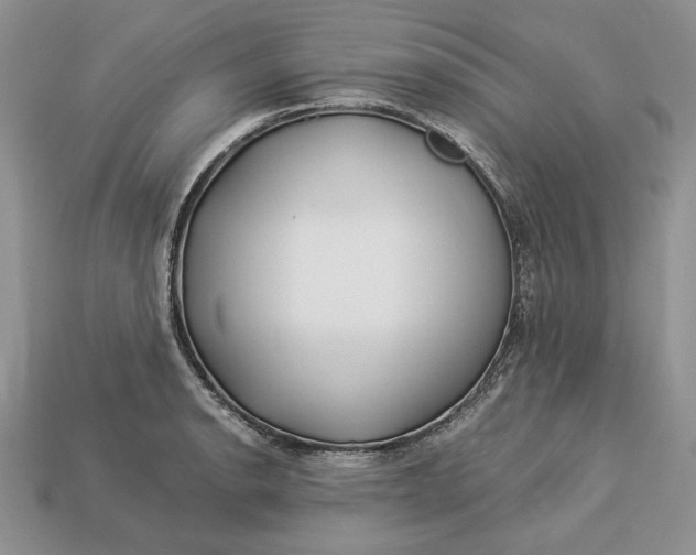 X0000112901134200909111519