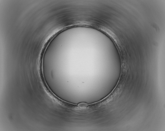 X0000112901135200909111519