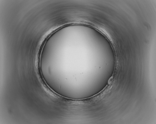 X0000112901136200909111519