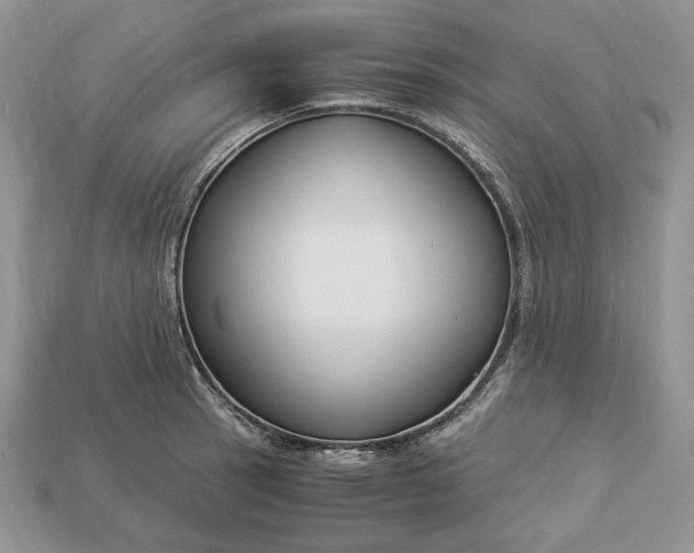 X0000112901137200909111519