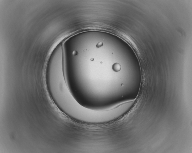 X0000112901138200909111519
