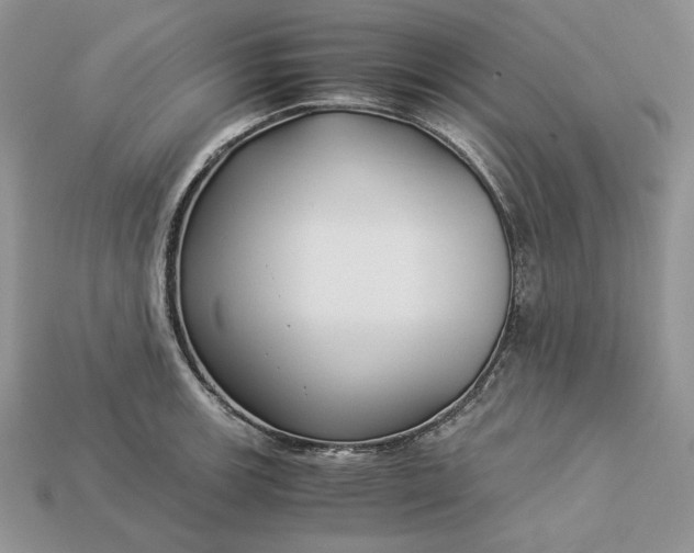 X0000112901139200909111519