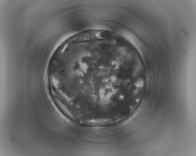 X0000112901141200909111519