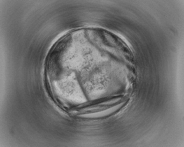 X0000112901142200909111519