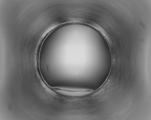 X0000112901143200909111519