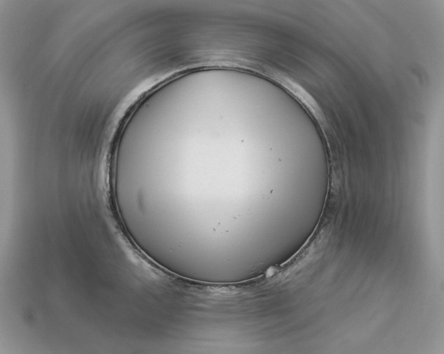 X0000112901144200909111519