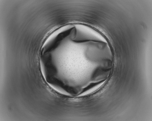X0000112901145200909111519