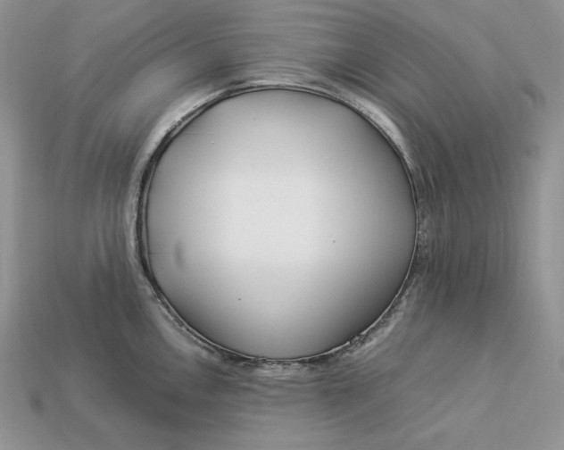 X0000112901146200909111519