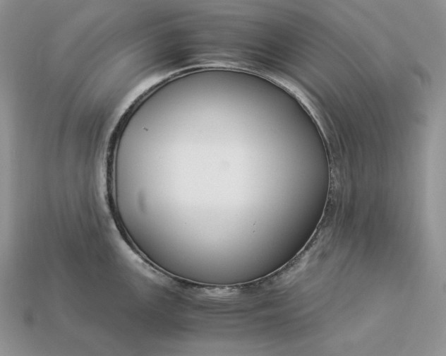 X0000112901147200909111519