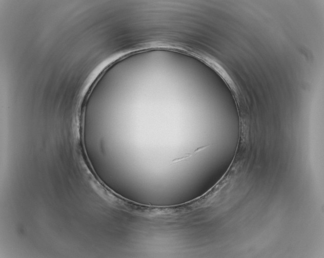 X0000112901148200909111519