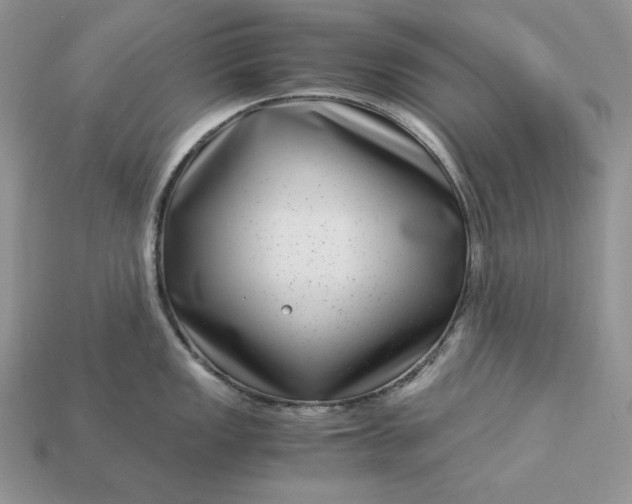 X0000112901149200909111519