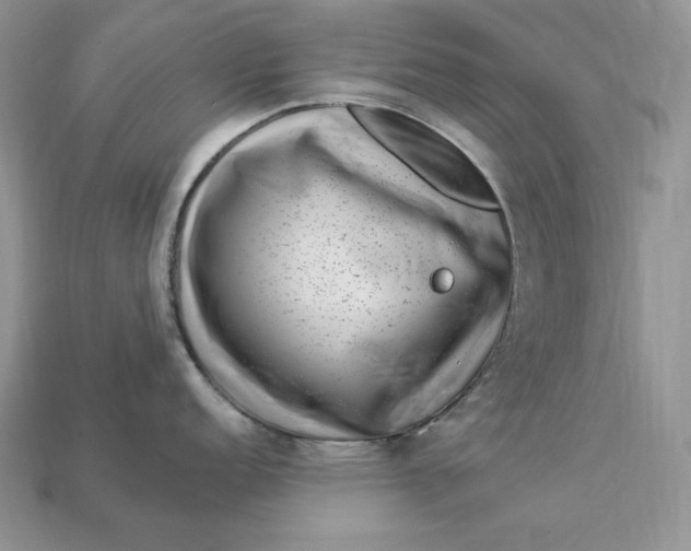 X0000112901152200909111519