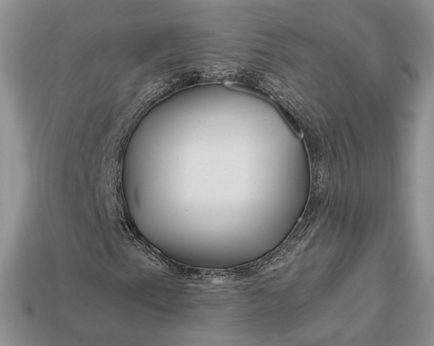 X0000112901153200909111519
