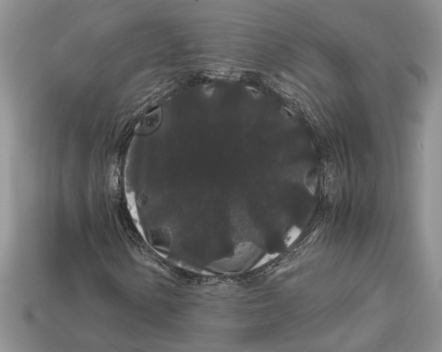 X0000112901154200909111519