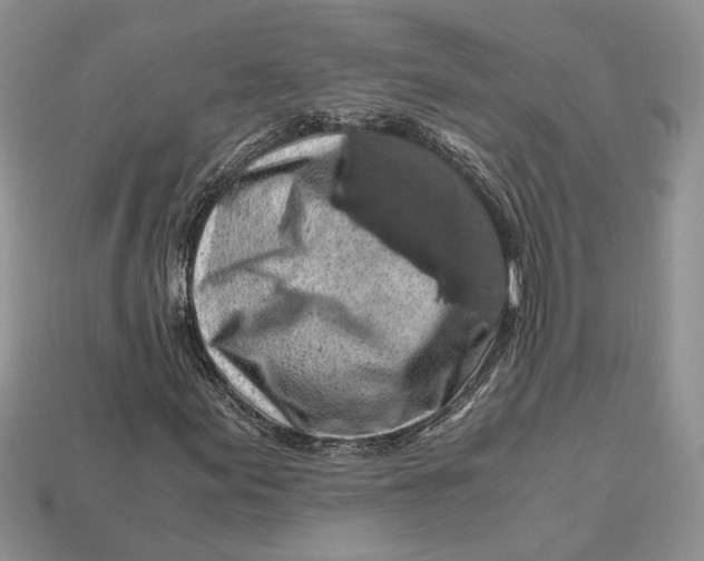 X0000112901155200909111519