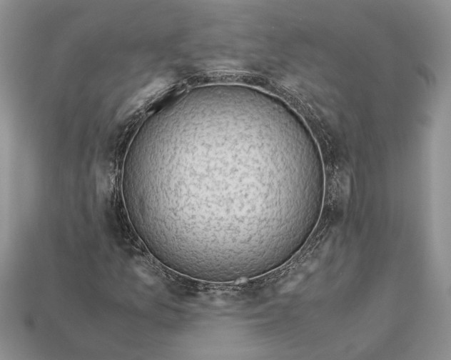 X0000112901157200909111519