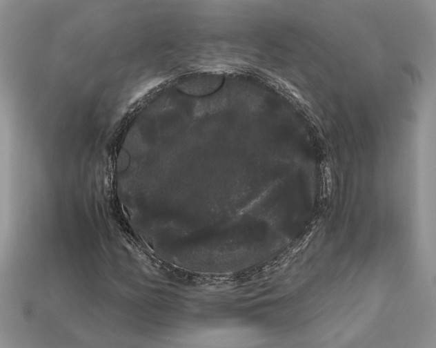 X0000112901158200909111518
