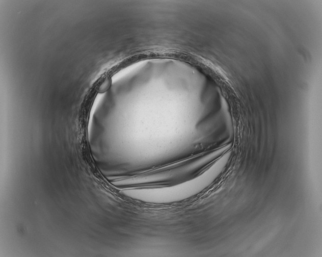 X0000112901160200909111518