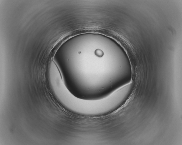 X0000112901162200909111518