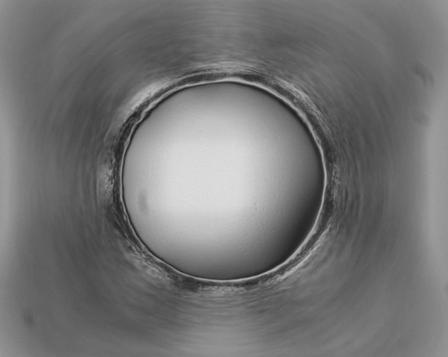 X0000112901163200909111518