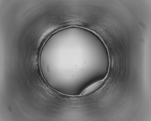 X0000112901164200909111518