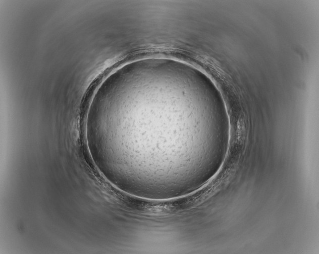 X0000112901165200909111518