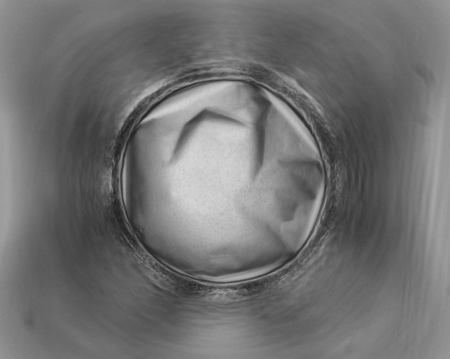 X0000112901166200909111518