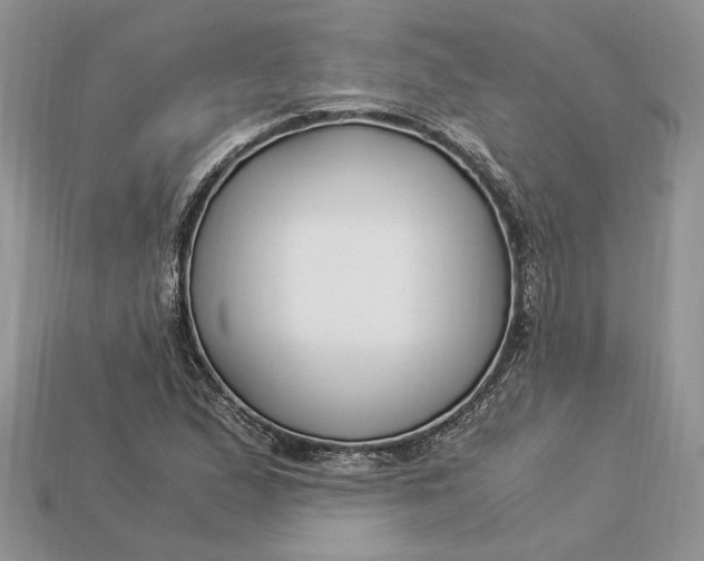 X0000112901167200909111518