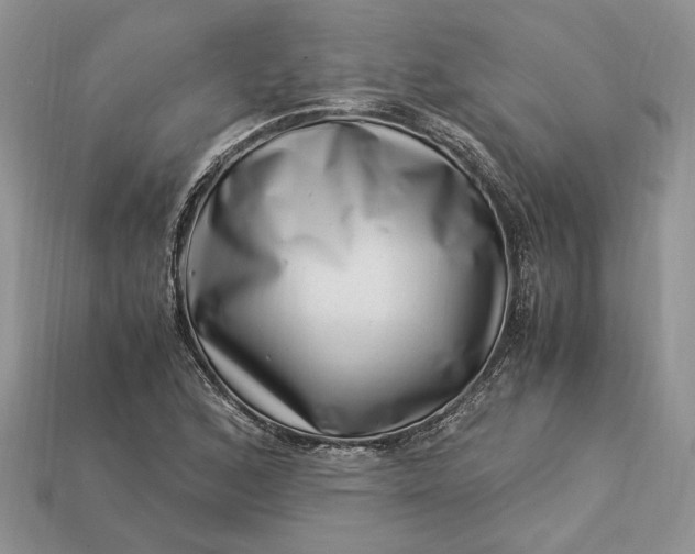 X0000112901168200909111518