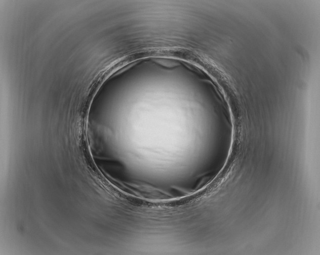 X0000112901169200909111518