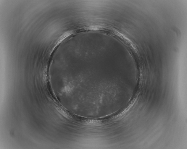 X0000112901170200909111518