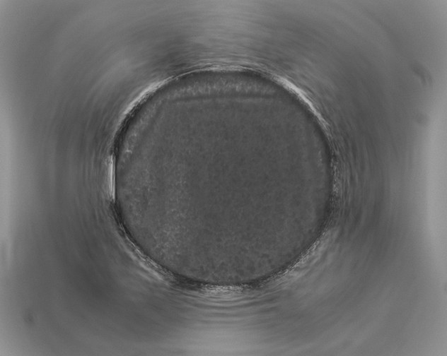 X0000112901171200909111518
