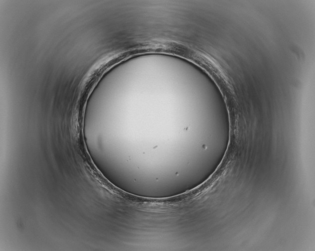 X0000112901172200909111518
