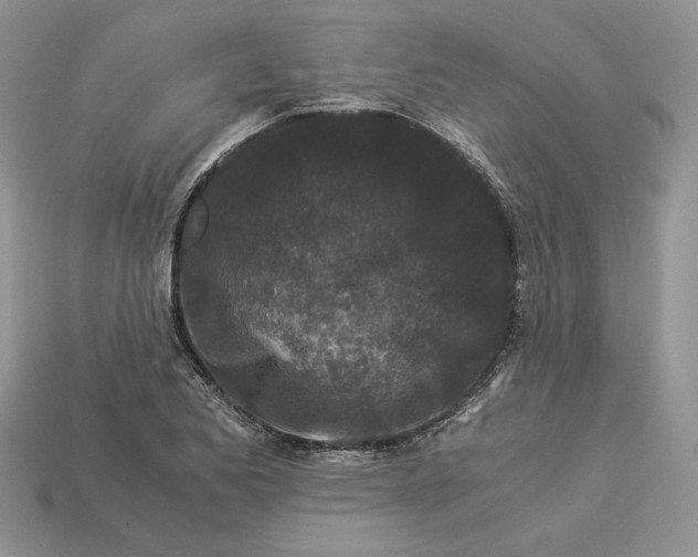 X0000112901173200909111518