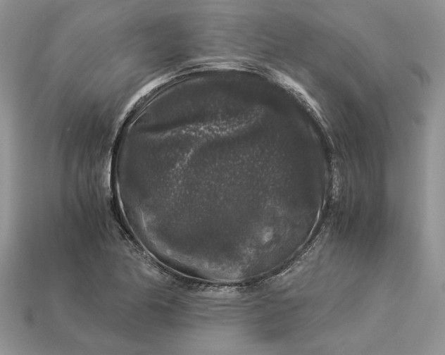 X0000112901174200909111518