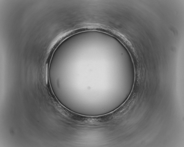 X0000112901175200909111518