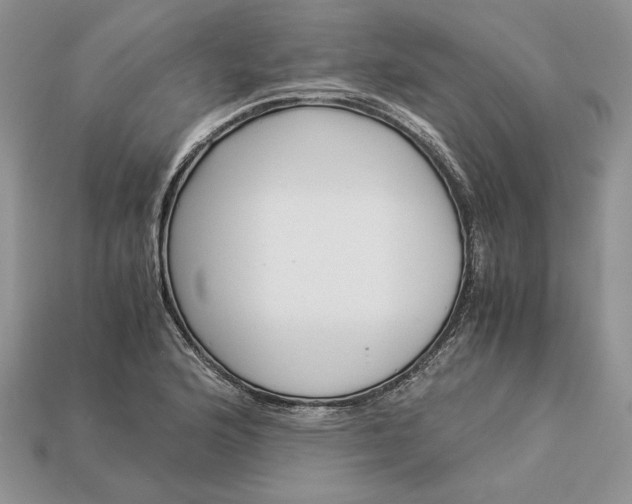 X0000112901176200909111518