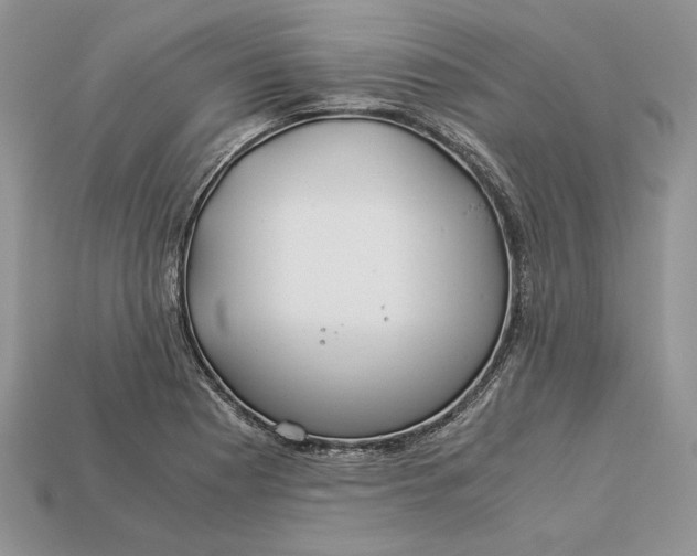 X0000112901177200909111518