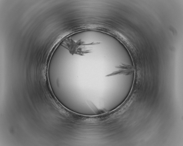 X0000112901178200909111518