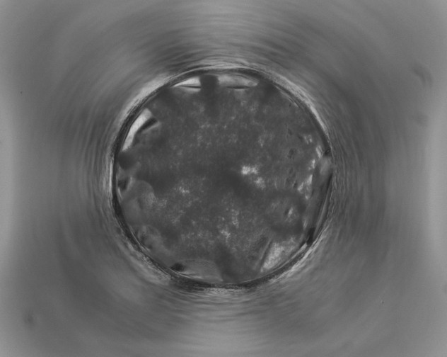 X0000112901179200909111518