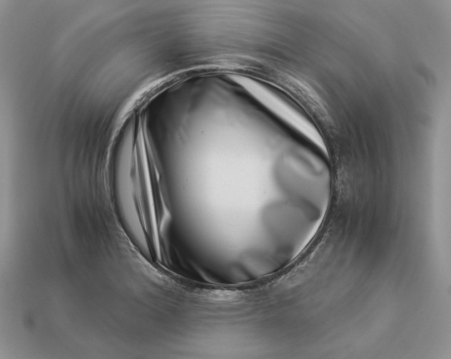 X0000112901180200909111518